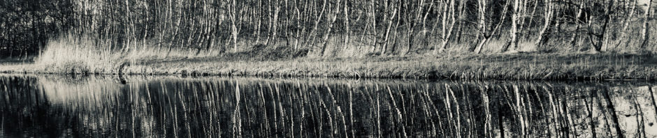 Simpelweg anders
