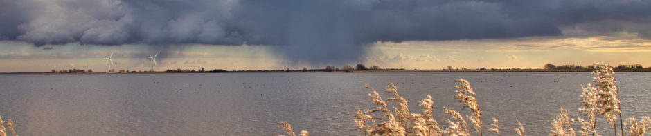 Simpelweg anders